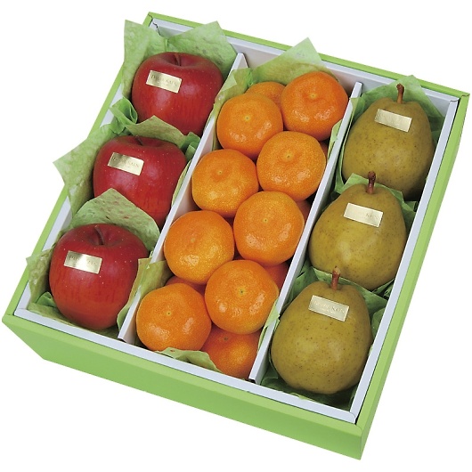 _Cʉ EC^[t[cl WF-55RW 摜1