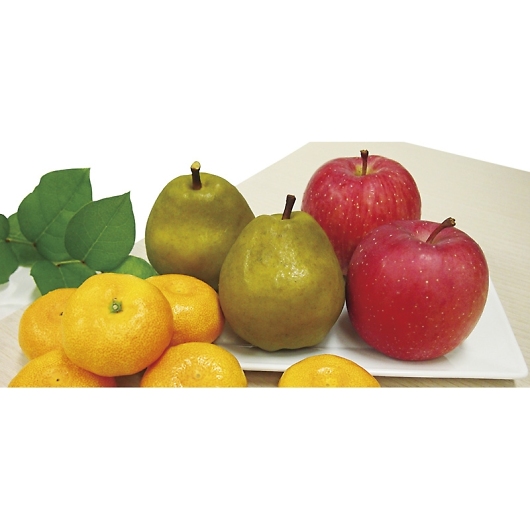 _Cʉ EC^[t[cl WF-55RW 摜2