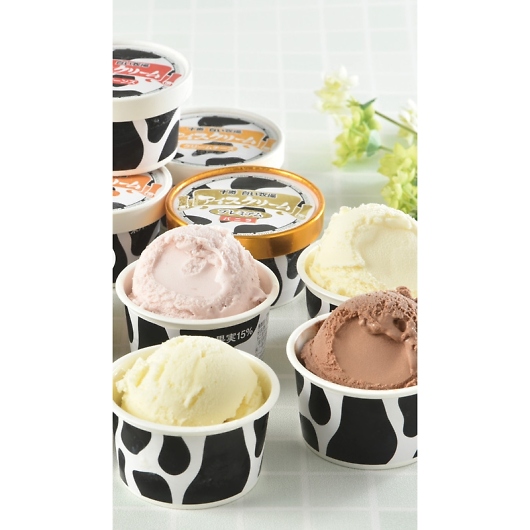 \qACXRNV TSBAC-11 摜2