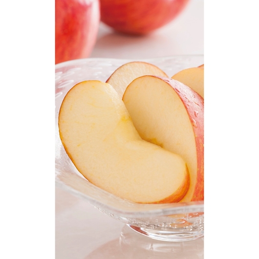 XY ㊮nTӂ 10 H-A8S 摜2