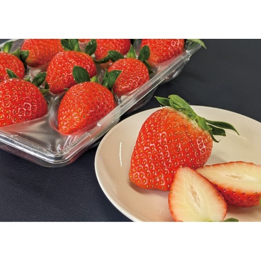  Y Hה׃Mtg F15-65 摜2