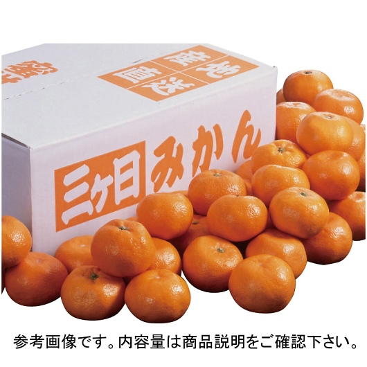 ÉY OP݂ STCY 3kg YO-430 摜1