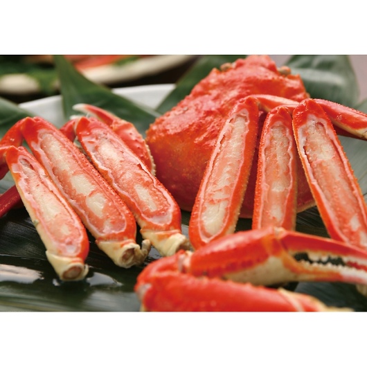 ���킢�I���r K912020-2 �摜2