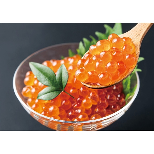 ���M�C�m���Y �k�C���Y������ݖ��Ђ� OKS-450-1 �摜2