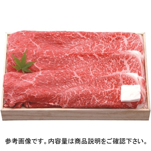 琬 ߍ]ĂiEoj 300g SNT-524 摜1