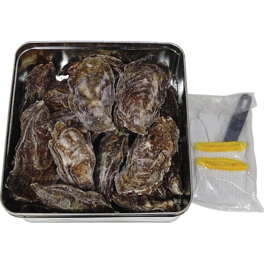 �L�������Ƌ����g���A���� �L�����y�̃J���J���Ă� H-KY16 �摜1