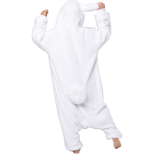 TUbN Vi[   lp SAN-1705 摜3