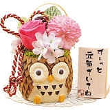 �������낤�i�v���U�[�u�h�t�����[�j �s���N 23CH1PK