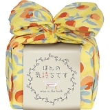 ���ӂ�͂� ���낲��ʎ� THOH-N610