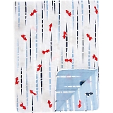 ���낿�� ���ʃK�[�[�Ăʂ��� ����ƂƏc�i�� 42412402