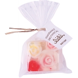 �v�`���B���B�\�[�v ���[�Y PL02