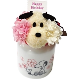 ���ԃX�k�[�s�[ Happy Birthday SN5636