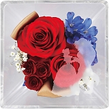 �G�e���l���t���[�� �f�B�Y�j�[�v�����Z�X�i�����Ɩ�b�j 2022DO-002SH