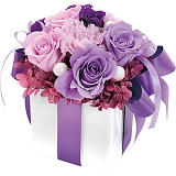 �v���U�[�u�h�t�����[ �l���P���[�i�b�g ncr-26-pr-nelke