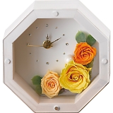 MOLY �A���e�B�[�N�z���C�g�i�v���U�[�u�h�t�����[�j �C�G���[   