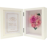 ���E�y�^���t�H�g�t���[���i�v���U�E���ԁj �s���N 1000047037