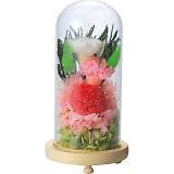 �������K���X�h�[���A�����W�����g �ѓށi���ȁj C29320