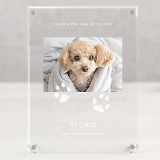 �����̎q�L�O�� �A�N�������Ă����i���d�����j P-CA10T