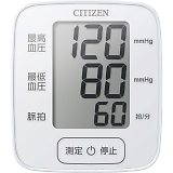 �V�`�Y�� ��񎮌����v CHWK338