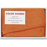 COLOR SOUNDS �t�F�C�X�^�I�� �I�����W CSD2510OR