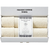 �I�[�K�j�b�N�R�b�g���t�F�C�X�^�I��2P OGE10120