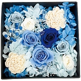 �v���U�[�u�h�t�����[ �W�����_���E�t���� 2026-pr-bl-op�i�u���[�j