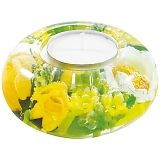 �h���[�����C�g �L�����h���z���_�[ UFO(S) CDD2341�i�X�v�����O�t�����[�j