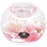 �h���[�����C�g �L�����h���z���_�[ �}�[�L�����[ CDD19121�i���d�j