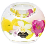 �h���[�����C�g �L�����h���z���_�[ �}�[�L�����[ CDD19122�i�Ԏ萅�j