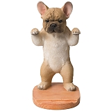 �x�j�[�Y �A�j�}���X�^���h QY-244B�i�t�����`�u���j