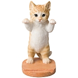 �x�j�[�Y �A�j�}���X�^���h QY-244Y�i�L���b�g�j