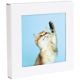 �ǂɏ���h�Ѓg�C�������Z�b�g(5��) �A�[�g�g���� �˂� ATW-5 003�i�˂��j