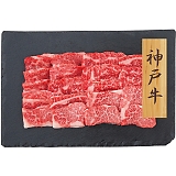 �v���[���[�h�b�O �t�@�[�� �_�ˋ� �ē� �o�� PFN-026