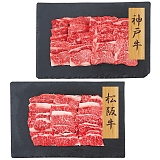 �v���[���[�h�b�O �t�@�[�� �_�ˋ��E���㋍ �ē� �o�� PFN-033