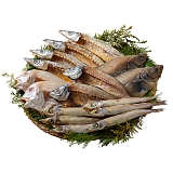 �R�A�C�N��銱���Z�b�g 6366-50