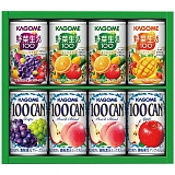 JS ₩t@~[Mtg KSR-10P