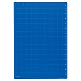 �搶�������� ���@�̃U���U�������� �u���[ U752A