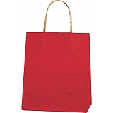 紙袋 カラーバッグ ペーパーバッグ 無地 （XS） 赤 21×12×25cm #3266300