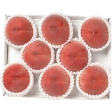 �R�����Y ���Z���T�[���i1.6kg�j