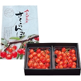 �A���X���[�t�@�[�� �������ځi600g�j