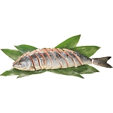 �k�C���當���E���K�����Y �n���V�����pL�i�p�E1.5kg�j