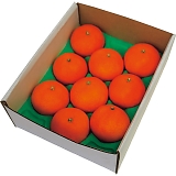 QY ܂ǂȁi2kgjiQʎ28j