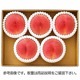 �R�����Y ������4�`6�� [�Y���i]
