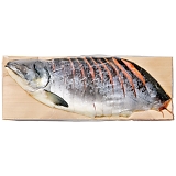 �V�������g AR-C25/2F [�Y���i]