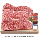 �琬�� �ߍ]�� �T�[���C���X�e�[�L3�� SEN-482 [�Y���i]
