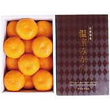 ꌧY nEX݂1kg