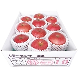 XY x14xۏ؃Tӂ2.5kg