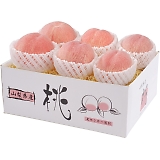 �R�����Y�̓� 26306 [�Y���i]