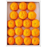 �n�E�X�݂��� YO-727 [�Y���i]