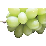 _Cʉ VC}XJbg SYM-80RW